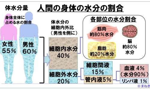 紫脚丫-权威紫脚叶平台,分享专业紫艾草知识_紫脚艾功效网